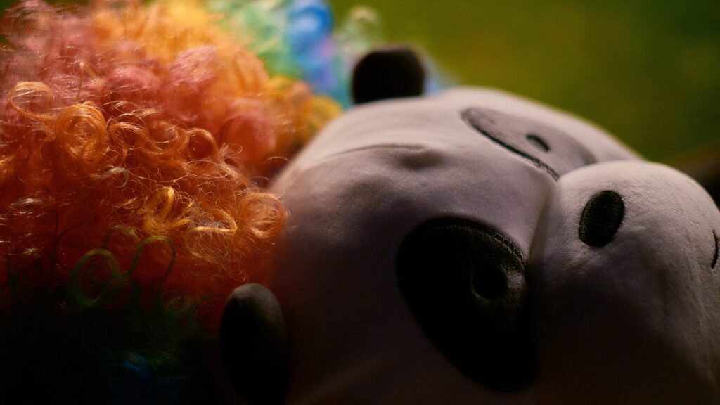 Panda head and rainbow wig